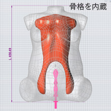 リアルボディ内部構造