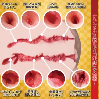 アダルトグッズ、極生尻 深田えいみの見本画像2