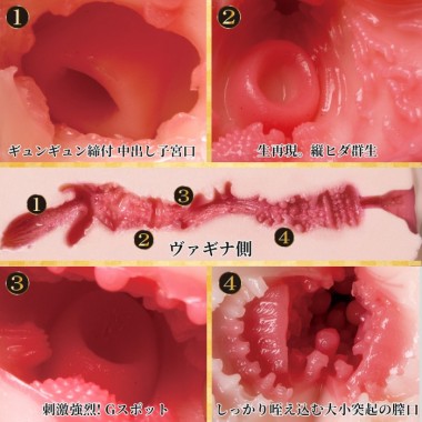 アダルトグッズ、極生尻 深田えいみの見本画像3