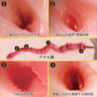 アダルトグッズ、極生尻 深田えいみの見本画像4