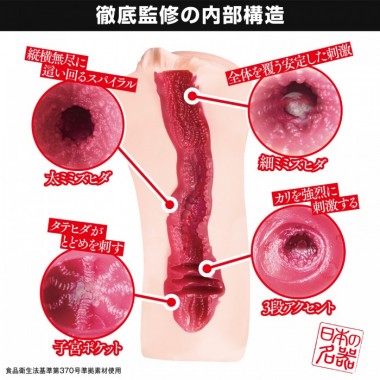 アダルトグッズ、日本の名器 辻井ほのかの見本画像3