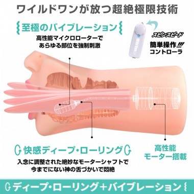 アダルトグッズ、神フェラ 辻井ほのかの見本画像4