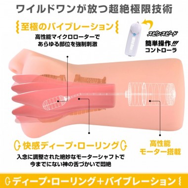 アダルトグッズ、神フェラ 東條なつの見本画像4