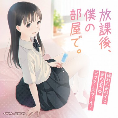 アダルトグッズ、放課後、僕の部屋で。の見本画像2