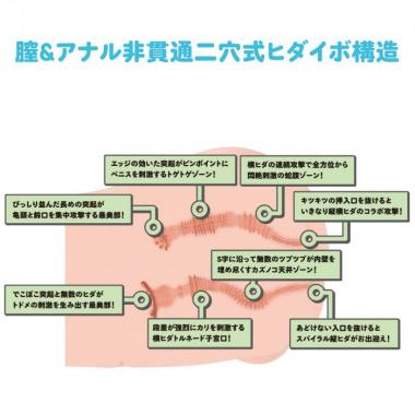 アダルトグッズ、リアルボディ+3Dボーンシステム つるぺた萌木ひなの見本画像5