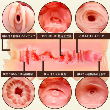アダルトグッズ、日本の名器　数の子天井の見本画像3