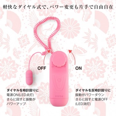 アダルトグッズ、日本のローターの見本画像5