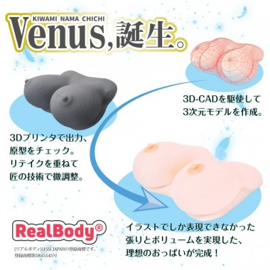 アダルトグッズ、リアルボディ極生乳☆ヴィーナス～うるし原智志監修～の見本画像5